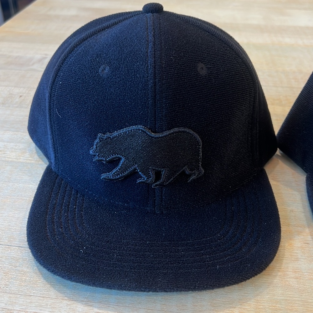 Grassroots California Limited Edition Bear adjustable snap back baseball cap hat - Picture 2 of 8